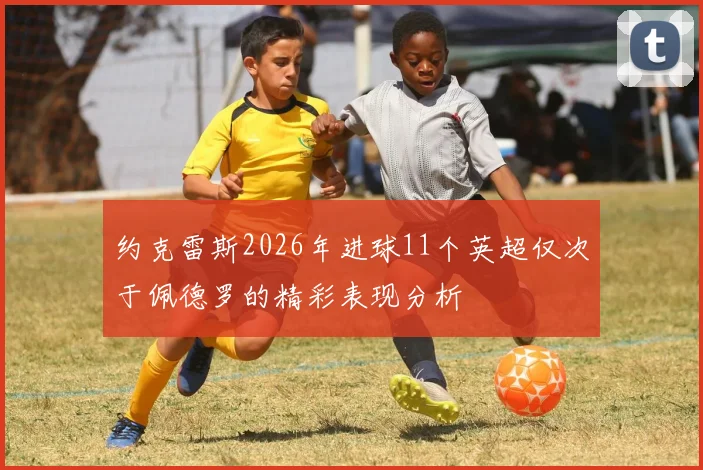 约克雷斯2026年进球11个英超仅次于佩德罗的精彩表现分析
